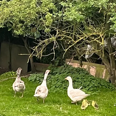 Demeure De Caractere Du Nord ヴィラ *